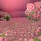 Pink Roses Field - ilmainen png animoitu GIF