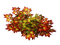 otoño - nemokama png animuotas GIF