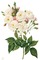 vintage flowers 2 - Free PNG Animated GIF