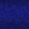 gif bleu foncé - Gratis geanimeerde GIF geanimeerde GIF
