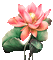 soave deco  animated   lilies pink green - GIF animado grátis Gif Animado
