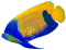 Kaz_Creations  🐟  Fish 🐟 - безплатен png анимиран GIF