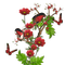 plants katrin - zdarma png animovaný GIF