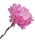 pink flower (created with gimp) - GIF animé gratuit