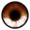 Kaz_Creations Eyes Eye Colours - δωρεάν png κινούμενο GIF