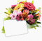 chantalmi bouquet - Nemokamas animacinis gif animuotas GIF