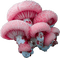 Pink Mushrooms - png gratis GIF animado