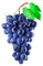 Y.A.M._Summer Flowers Decor Grape - 免费PNG 动画 GIF