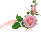 déco rose/clody - Free PNG Animated GIF
