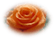 patymirabelle fleurs rose - png gratis GIF animado