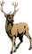 cerf - kostenlos png Animiertes GIF