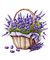lavender flower basket Bb2 - Free PNG Animated GIF