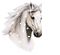 tête de cheval - GIF animé gratuit GIF animé