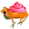 pink frosting cupcake frog - zdarma png animovaný GIF