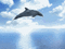 Delfine - Ilmainen animoitu GIF animoitu GIF