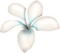 fleur blanche.Cheyenne63 - kostenlos png Animiertes GIF