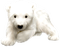Polar.Bear.Cub.White - png gratis GIF animasi