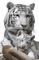 Kaz_Creations Animals-Tigers - Безплатен анимиран GIF