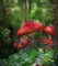 fantasy mushroom bp - Free PNG Animated GIF