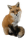 fox 3 Nitsa P - ingyenes png animált GIF