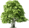 Kaz_Creations Trees Tree - zdarma png animovaný GIF