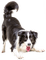 Kaz_Creations  Dogs Dog Pup - δωρεάν png κινούμενο GIF