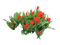 Blumen - gratis png animerad GIF