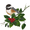 Bird/Christmas - Δωρεάν κινούμενο GIF κινούμενο GIF