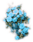 vase flower dubravka4 - nemokama png animuotas GIF