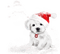 loly33 chien hiver - PNG gratuit GIF animé