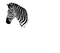 zebra bp - Free PNG Animated GIF