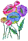 nbl-flower