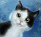 cat - GIF animasi gratis GIF animasi