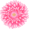 All My Flowers - PNG gratuit GIF animé