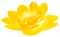 Flower.Pearls.Yellow - kostenlos png Animiertes GIF