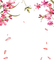 pink flowers petals frame, sunshine3 - zadarmo png animovaný GIF