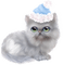Kaz_Creations Cats Cat Kittens Kitten - 免费PNG 动画 GIF