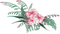 soave deco summer  tropical pink green - bezmaksas png animēts GIF