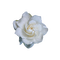 kikkapink deco scrap white rose - png ฟรี GIF แบบเคลื่อนไหว