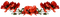 Fleurs - 免费PNG 动画 GIF