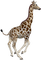 girafe - kostenlos png Animiertes GIF