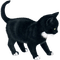 kitten - png gratuito GIF animata