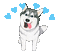 Husky - Bezmaksas animēts GIF animēts GIF