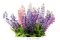 Fleurs - gratis png animeret GIF