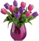 vase - gratis png geanimeerde GIF