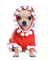 Dog, Hund, Weihnachten - png gratuito GIF animata