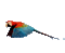 pappagallo - Бесплатный анимированный гифка анимированный гифка