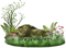 cecily-herbe pierres - PNG gratuit GIF animé