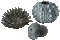 sea urchin  (created with gimp) - Besplatni animirani GIF animirani GIF