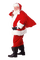 Weihnachten - nemokama png animuotas GIF